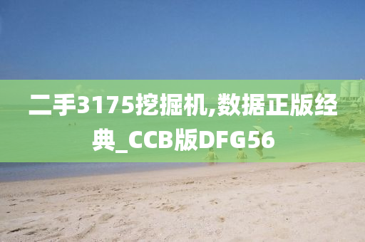 二手3175挖掘机,数据正版经典_CCB版DFG56