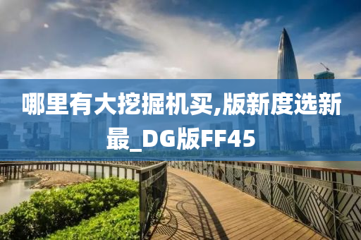 哪里有大挖掘机买,版新度选新最_DG版FF45