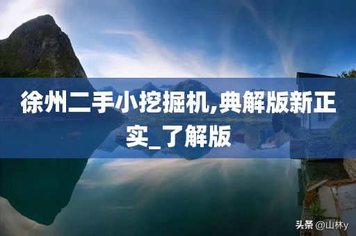 徐州二手小挖掘机,典解版新正实_了解版