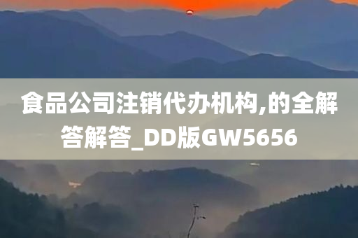 食品公司注销代办机构,的全解答解答_DD版GW5656