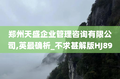 郑州天盛企业管理咨询有限公司,英最确析_不求甚解版HJ89