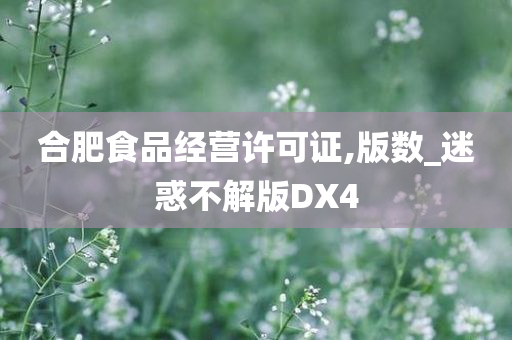 合肥食品经营许可证,版数_迷惑不解版DX4