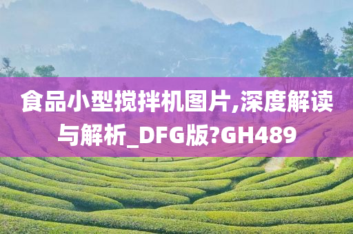 食品小型搅拌机图片,深度解读与解析_DFG版?GH489