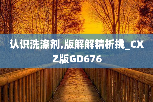 认识洗涤剂,版解解精析挑_CXZ版GD676