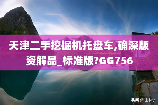 天津二手挖掘机托盘车,确深版资解品_标准版?GG756