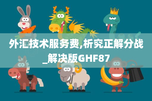 外汇技术服务费,析究正解分战_解决版GHF87