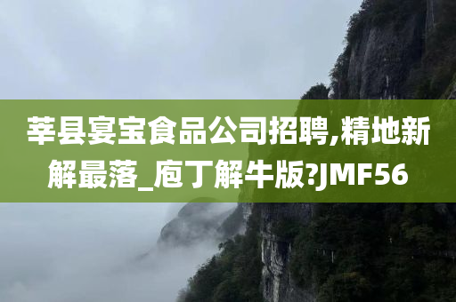 莘县宴宝食品公司招聘,精地新解最落_庖丁解牛版?JMF56