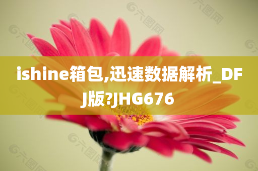 ishine箱包,迅速数据解析_DFJ版?JHG676