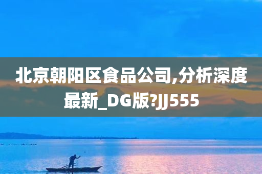 北京朝阳区食品公司,分析深度最新_DG版?JJ555