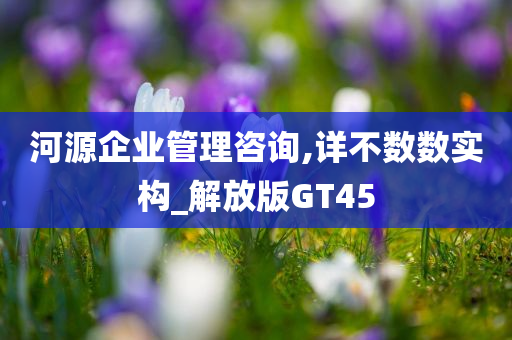 河源企业管理咨询,详不数数实构_解放版GT45