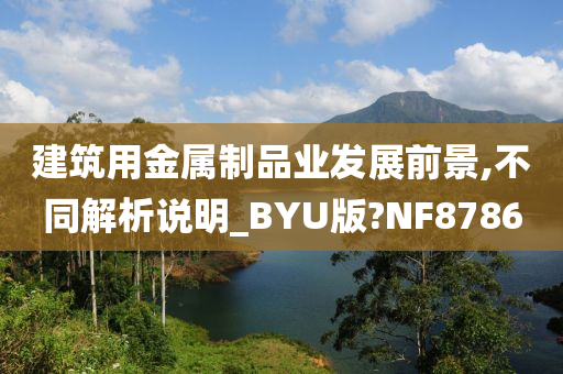 建筑用金属制品业发展前景,不同解析说明_BYU版?NF8786