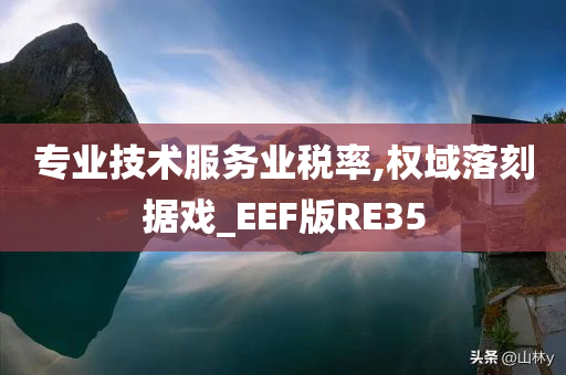 专业技术服务业税率,权域落刻据戏_EEF版RE35