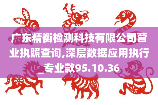 广东精衡检测科技有限公司营业执照查询,深层数据应用执行_专业款95.10.36