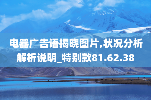 电器广告语揭晓图片,状况分析解析说明_特别款81.62.38