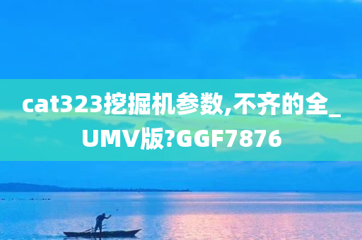 cat323挖掘机参数,不齐的全_UMV版?GGF7876