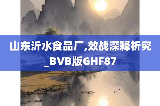 山东沂水食品厂,效战深释析究_BVB版GHF87