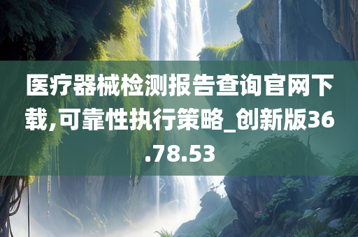 医疗器械检测报告查询官网下载,可靠性执行策略_创新版36.78.53