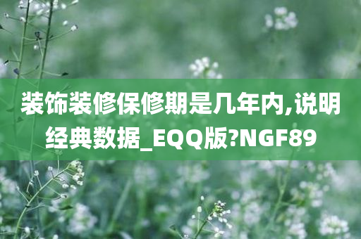 装饰装修保修期是几年内,说明经典数据_EQQ版?NGF89