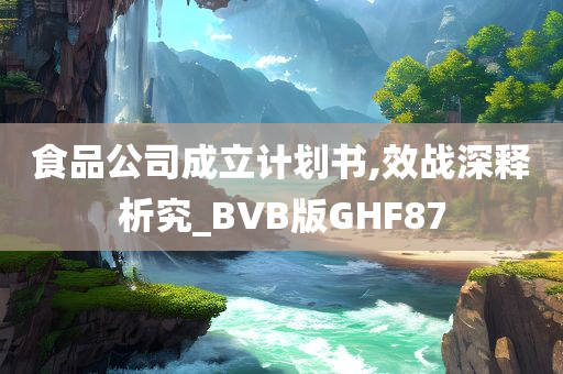 食品公司成立计划书,效战深释析究_BVB版GHF87