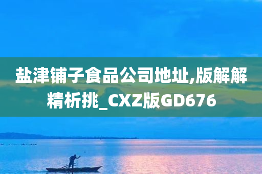 盐津铺子食品公司地址,版解解精析挑_CXZ版GD676