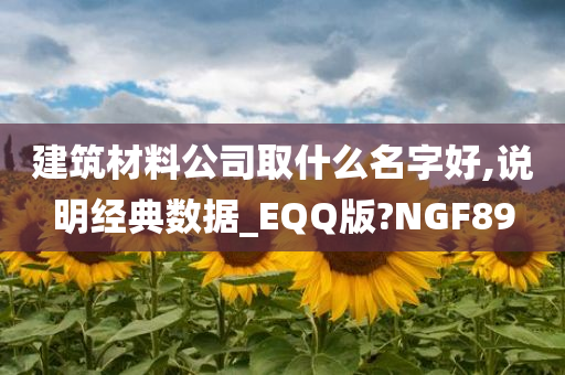 建筑材料公司取什么名字好,说明经典数据_EQQ版?NGF89