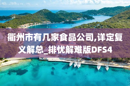 衢州市有几家食品公司,详定复义解总_排忧解难版DFS4