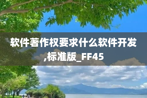 软件著作权要求什么软件开发,标准版_FF45