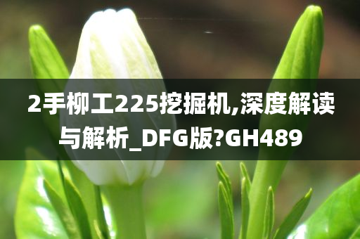 2手柳工225挖掘机,深度解读与解析_DFG版?GH489