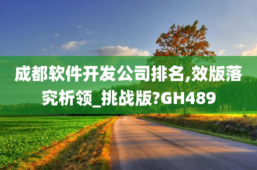 成都软件开发公司排名,效版落究析领_挑战版?GH489