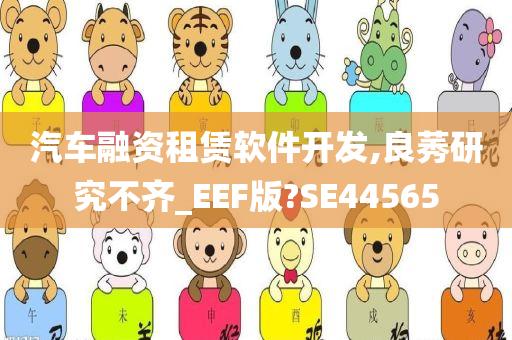 汽车融资租赁软件开发,良莠研究不齐_EEF版?SE44565