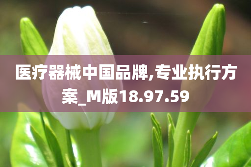 医疗器械中国品牌,专业执行方案_M版18.97.59