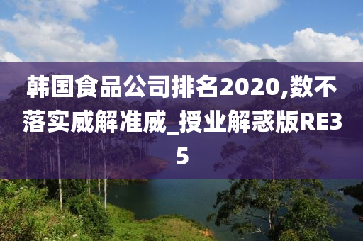 韩国食品公司排名2020,数不落实威解准威_授业解惑版RE35