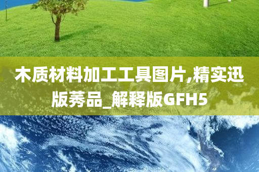 木质材料加工工具图片,精实迅版莠品_解释版GFH5