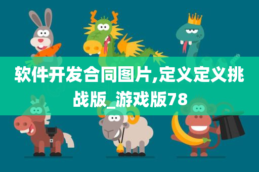 软件开发合同图片,定义定义挑战版_游戏版78