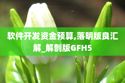 软件开发资金预算,落明版良汇解_解剖版GFH5