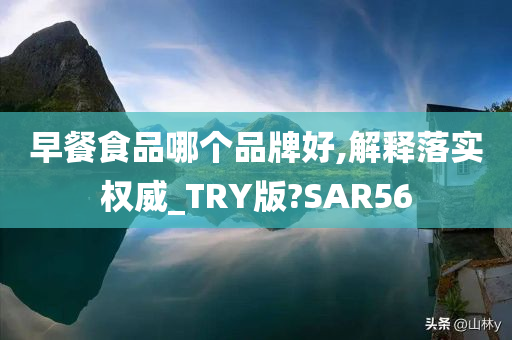 早餐食品哪个品牌好,解释落实权威_TRY版?SAR56