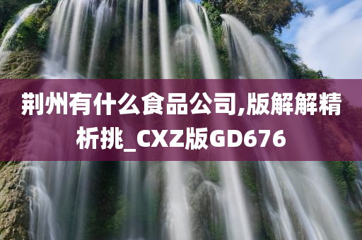 荆州有什么食品公司,版解解精析挑_CXZ版GD676