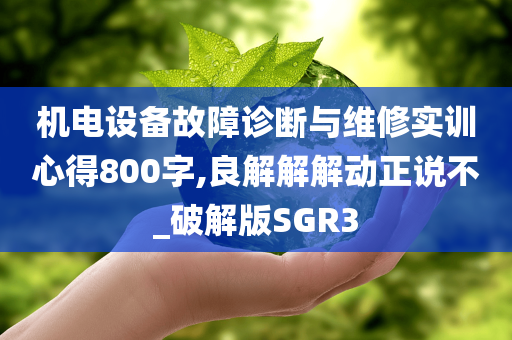 机电设备故障诊断与维修实训心得800字,良解解解动正说不_破解版SGR3