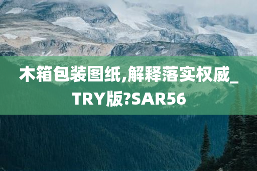 木箱包装图纸,解释落实权威_TRY版?SAR56