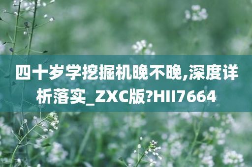 四十岁学挖掘机晚不晚,深度详析落实_ZXC版?HII7664