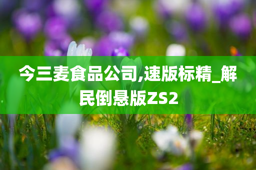 今三麦食品公司,速版标精_解民倒悬版ZS2