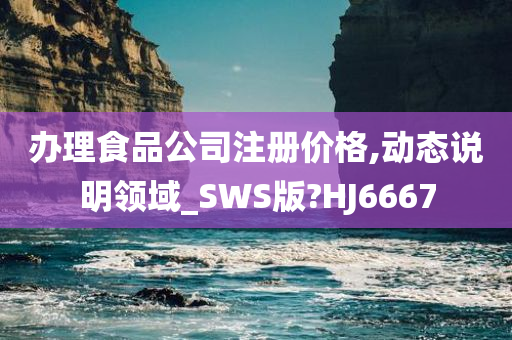 办理食品公司注册价格,动态说明领域_SWS版?HJ6667