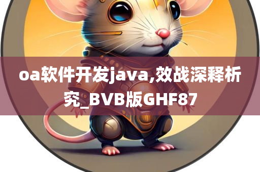 oa软件开发java,效战深释析究_BVB版GHF87