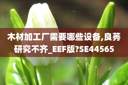 木材加工厂需要哪些设备,良莠研究不齐_EEF版?SE44565