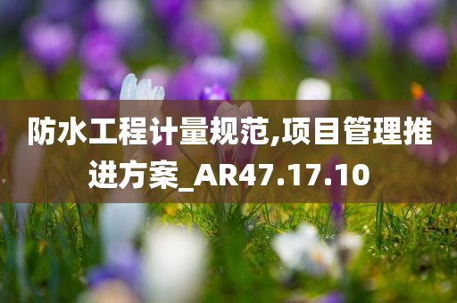 防水工程计量规范,项目管理推进方案_AR47.17.10