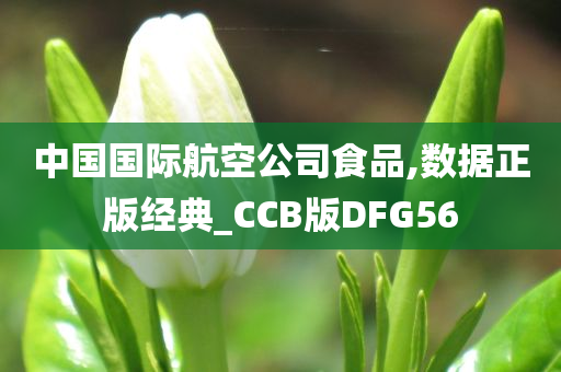 中国国际航空公司食品,数据正版经典_CCB版DFG56