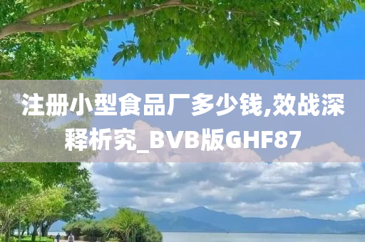 注册小型食品厂多少钱,效战深释析究_BVB版GHF87