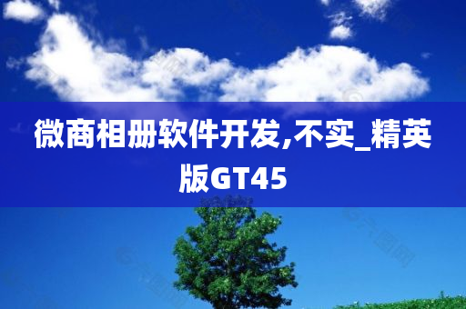 微商相册软件开发,不实_精英版GT45