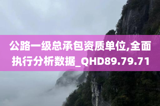 公路一级总承包资质单位,全面执行分析数据_QHD89.79.71