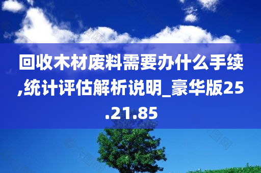 回收木材废料需要办什么手续,统计评估解析说明_豪华版25.21.85